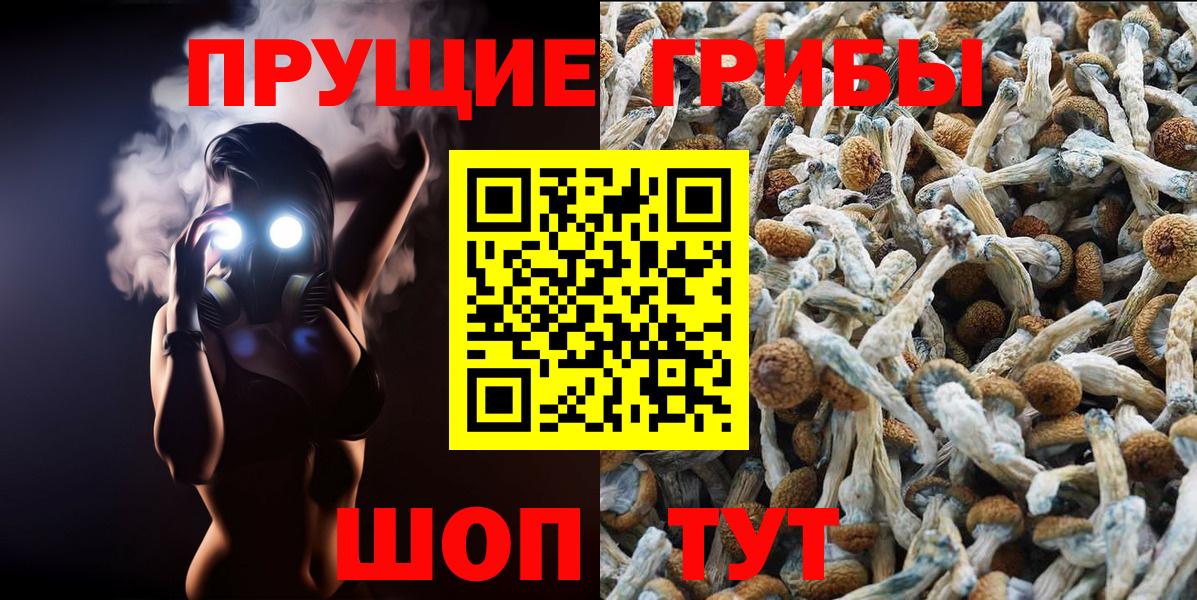 магазин    Вход с VPN  Глазов  Псилоцибиновые грибы GOLDEN TEACHER 