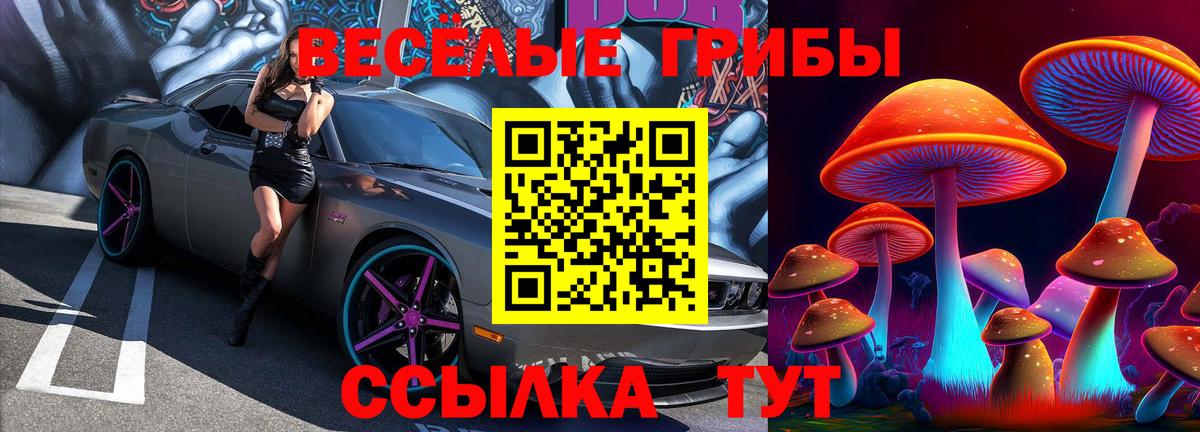 Псилоцибиновые грибы Cubensis Глазов